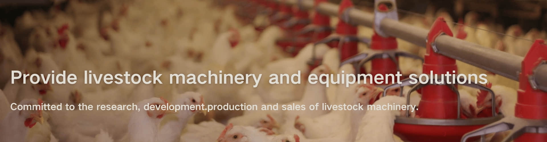 Automatic Poultry Farming Equipment Manufacturer | Chicken Cage System Supplier
