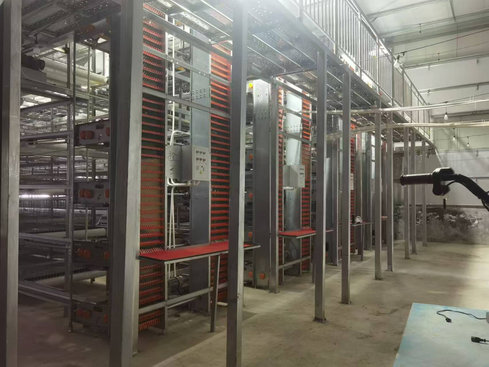 Automatic Poultry Battery Cage Systems: Complete Guide for Chicken Farms