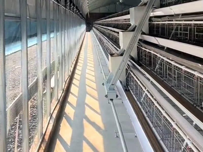 Automatic Feeding System