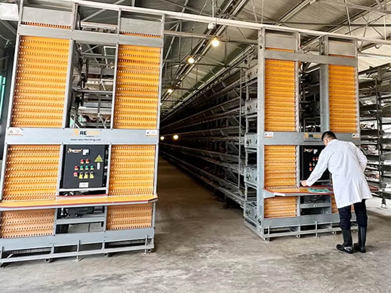 Automatic Layer Cage System