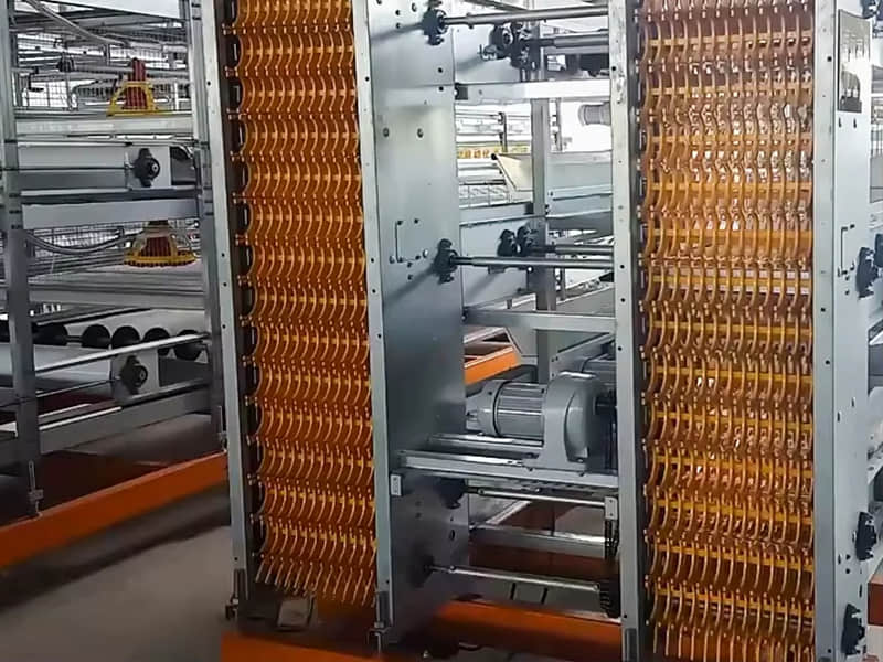 Automatic Egg Collection System